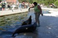 /album/fotogaleria-kosicka-zoologicka-zahrada-/a25-jpg/