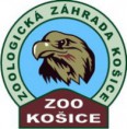 /album/fotogaleria-kosicka-zoologicka-zahrada-/pelikan3-jpg1/